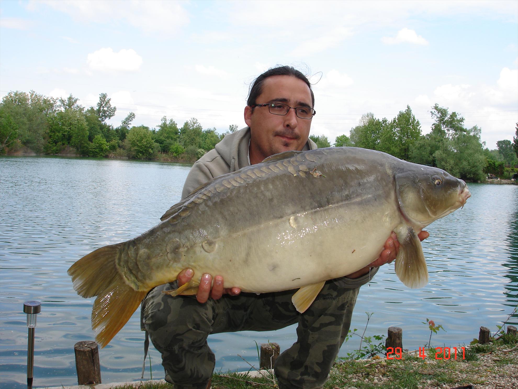 THE BIGS OF 2011 - p1000095.JPG